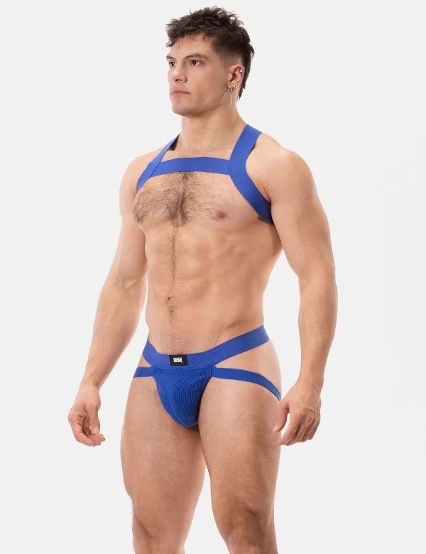 Jock Swim Anton - Royal
