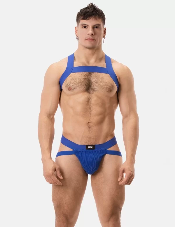 Jock Swim Anton - Royal