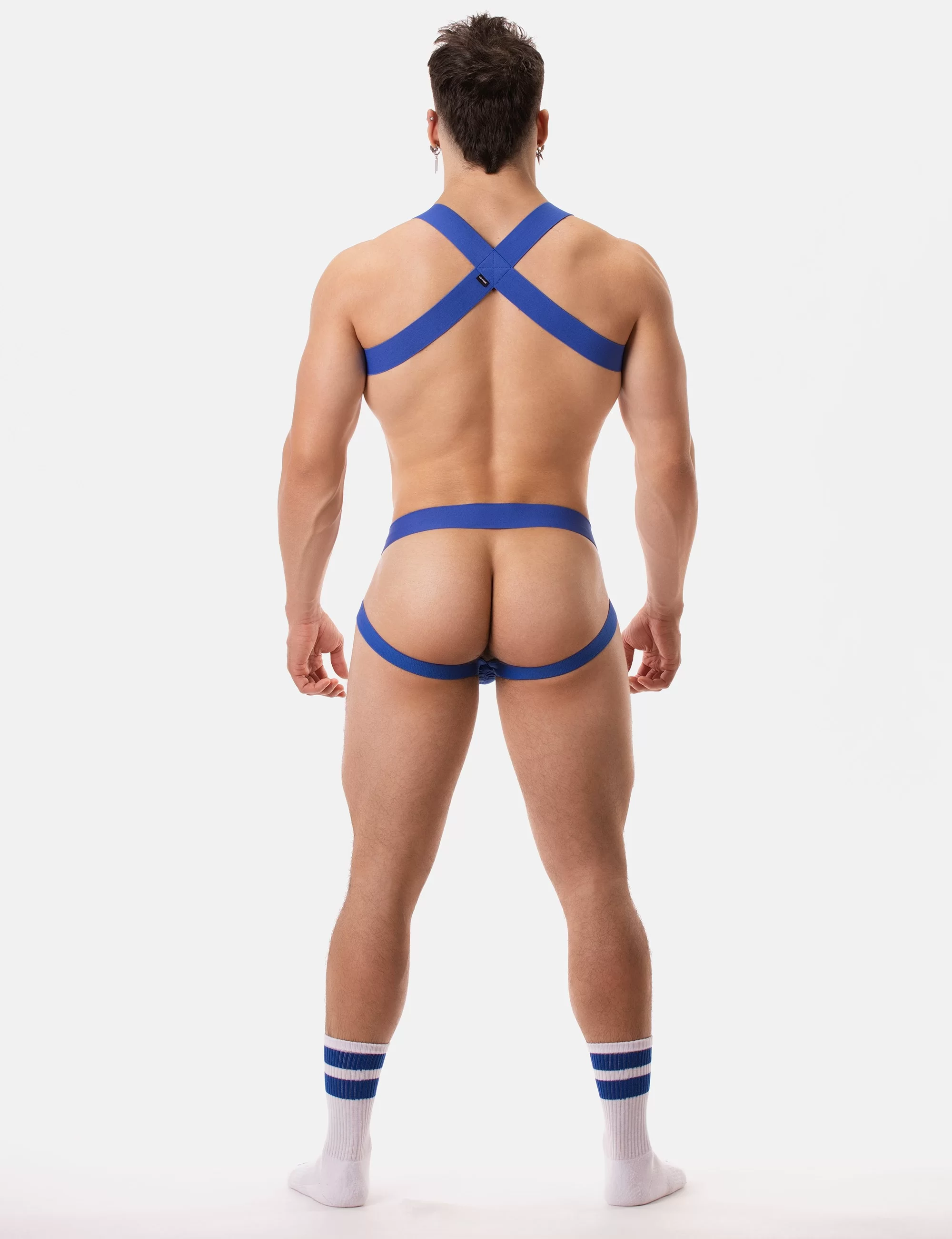Jock Swim Anton - Royal