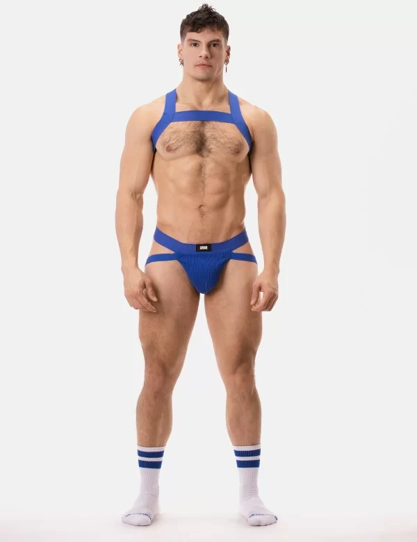 Jock Swim Anton - Royal