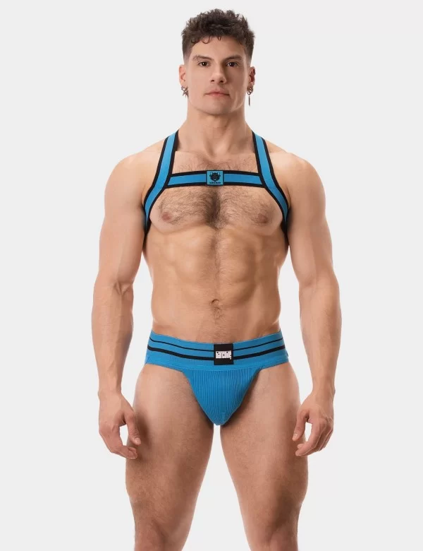 Harness Colin - Blue-Black