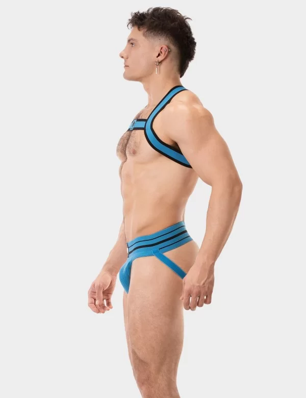 Harness Colin - Blue-Black