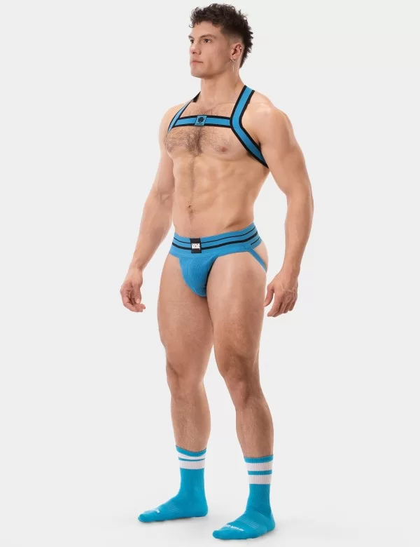 Harness Colin - Blue-Black
