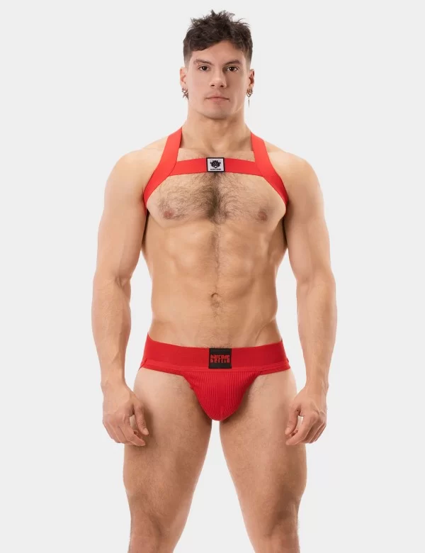 Harness Leonsh - Red