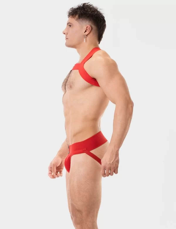 Harness Leonsh - Red