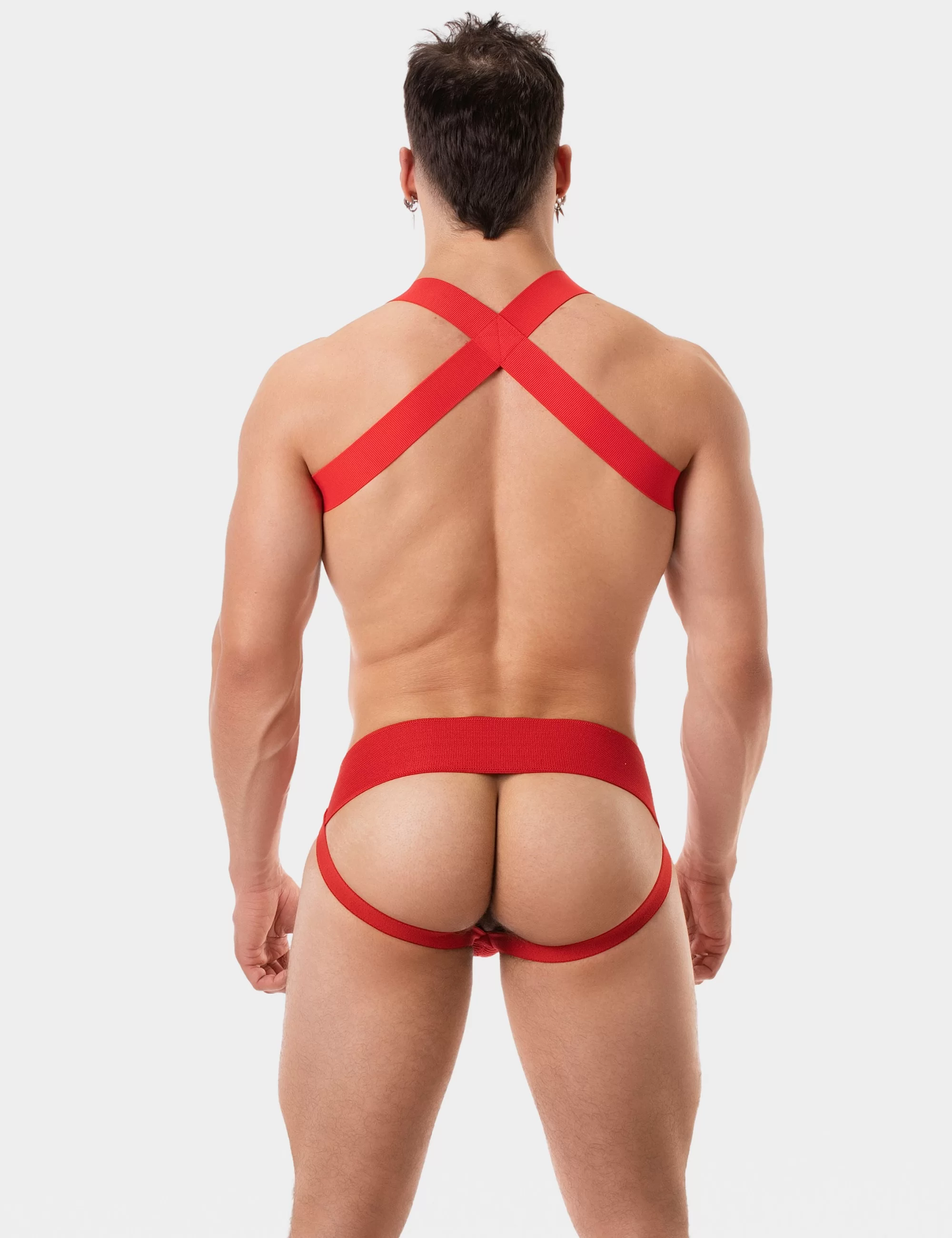Harness Leonsh - Red