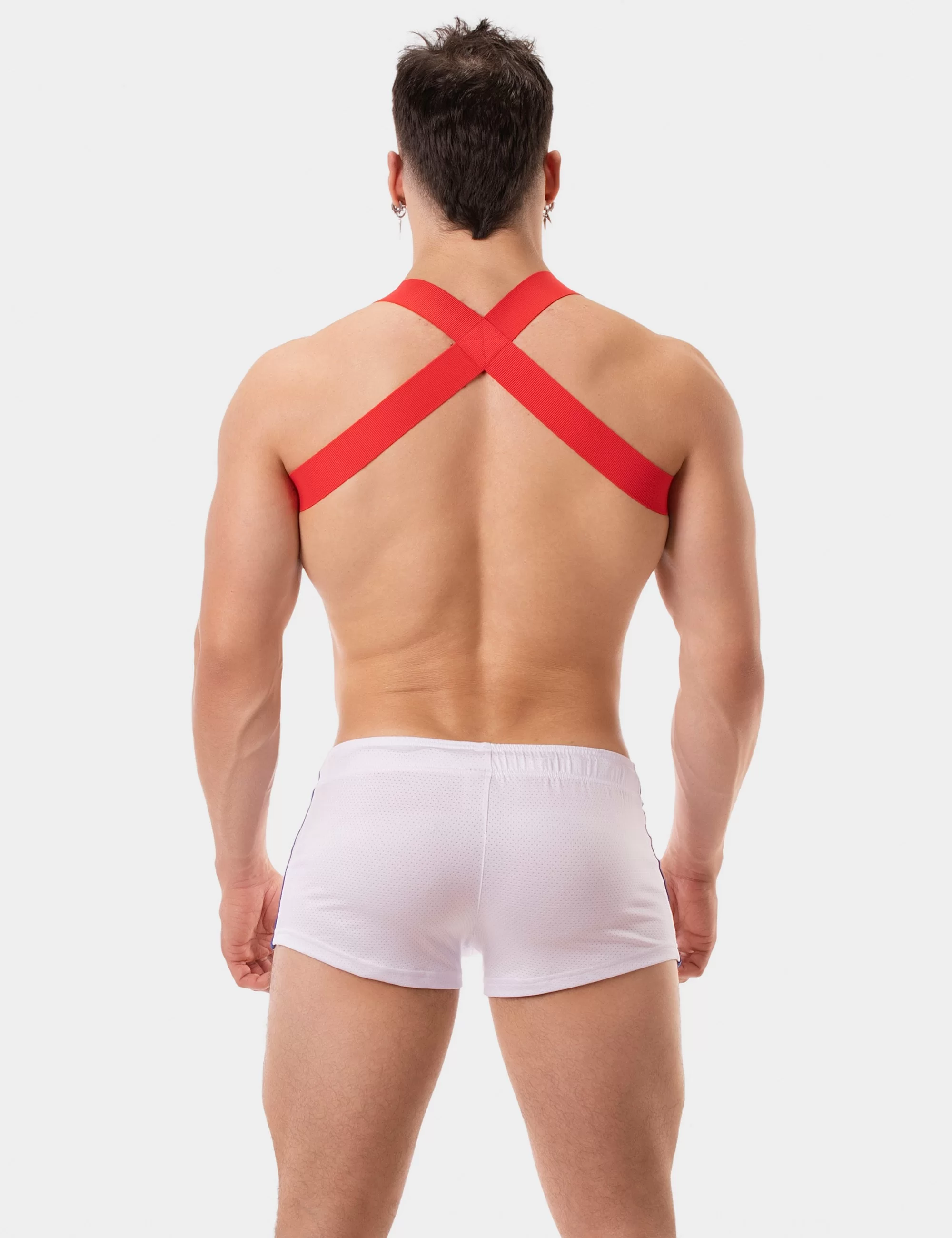 Harness Leonsh - Red