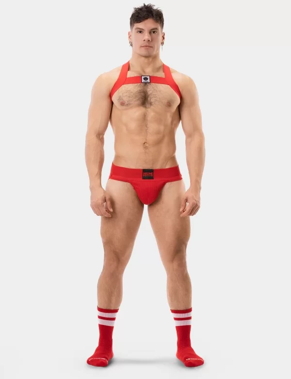 Harness Leonsh - Red