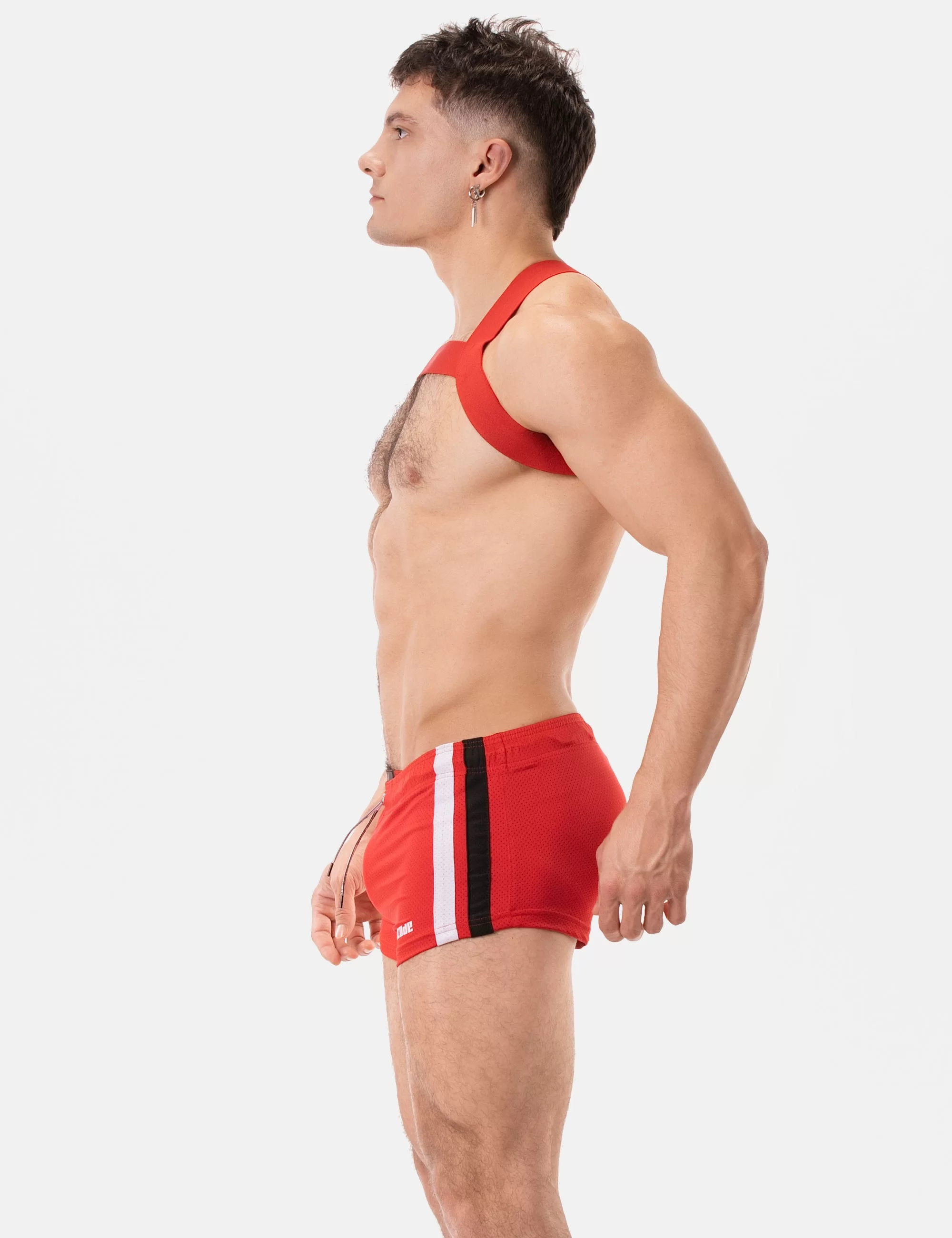 Harness Matt Pop - Redtomato