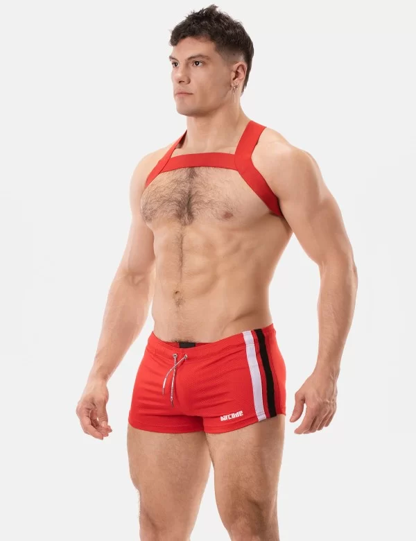 Harness Matt Pop - Redtomato