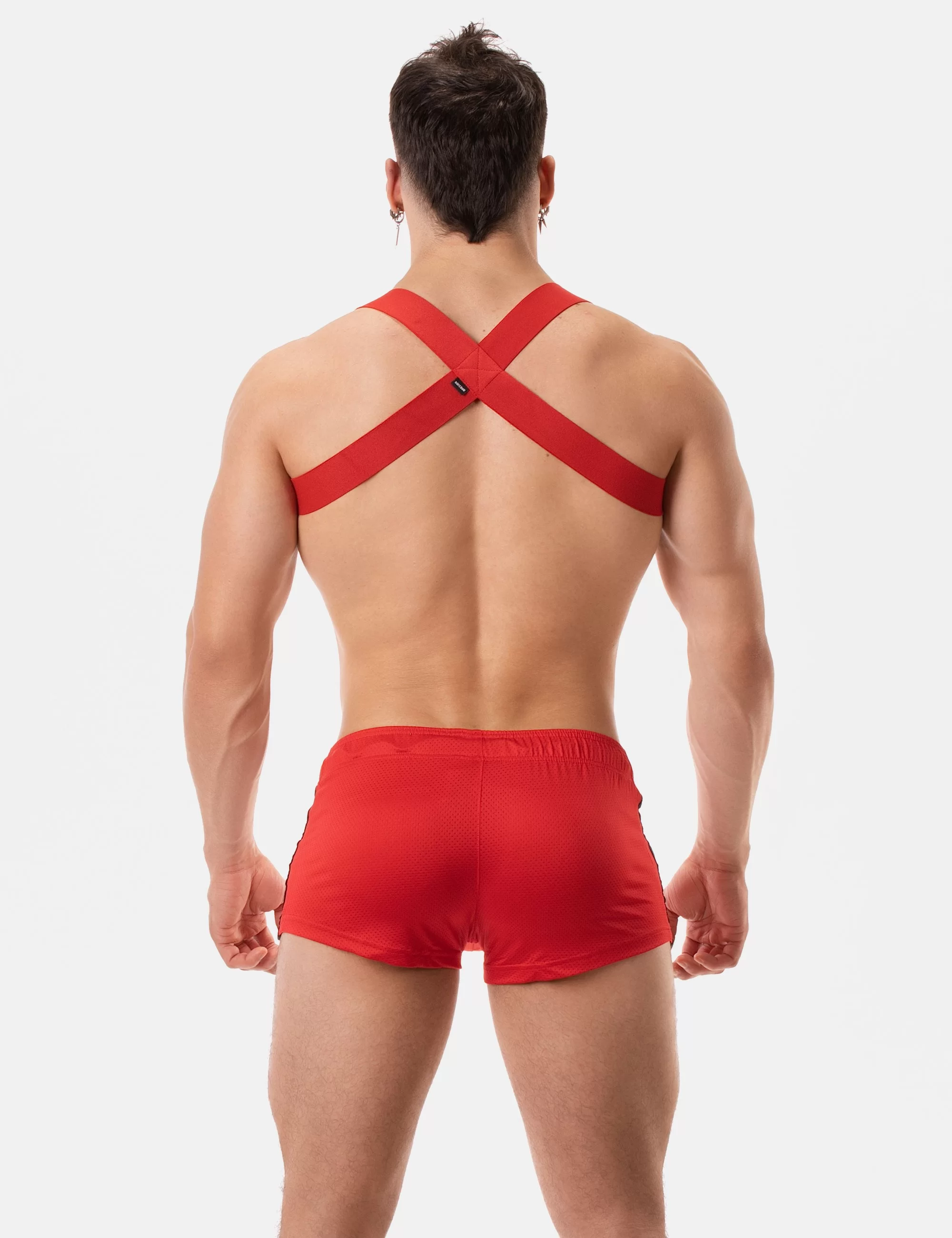 Harness Matt Pop - Redtomato