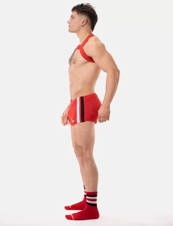 Harness Matt Pop - Redtomato