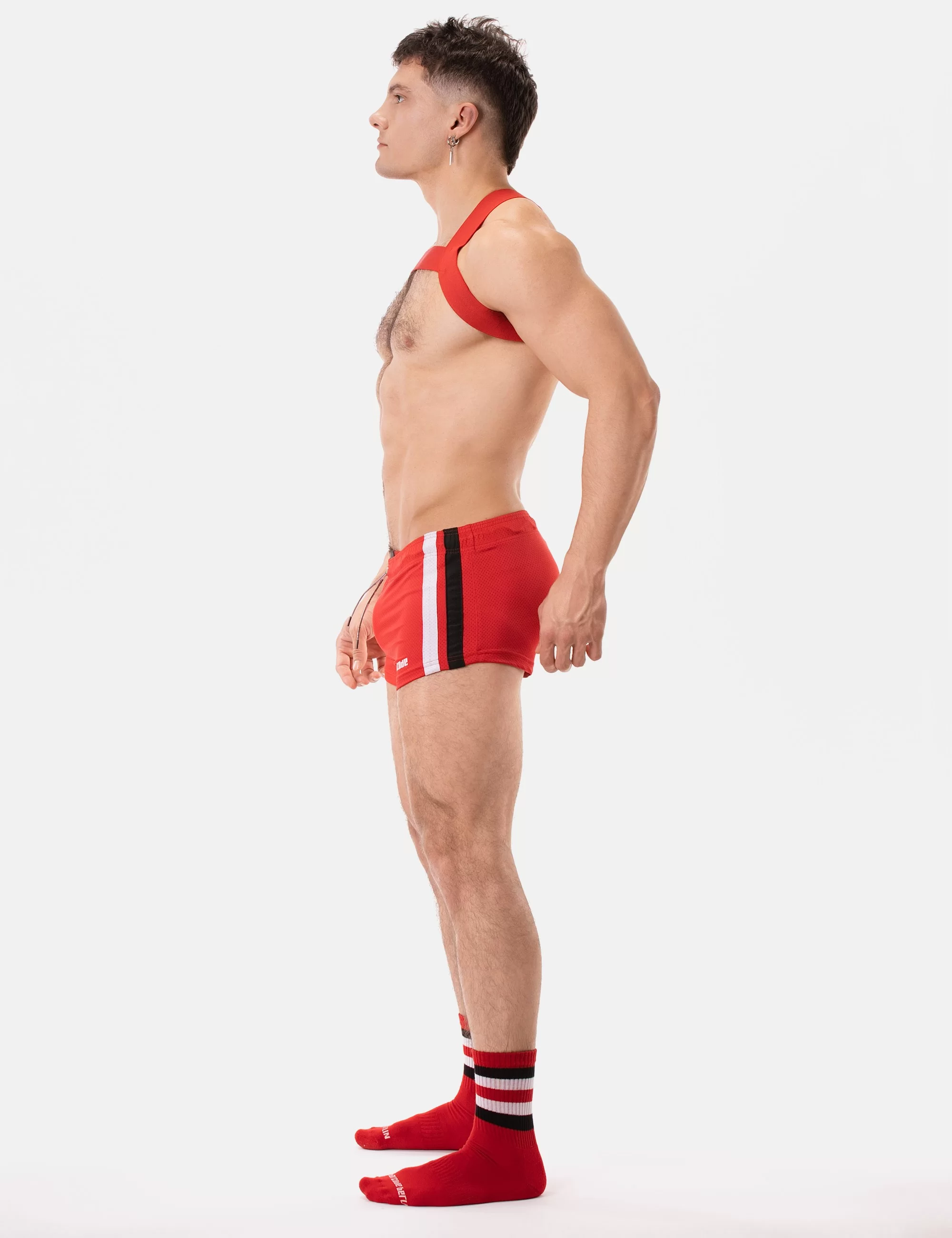 Harness Matt Pop - Redtomato