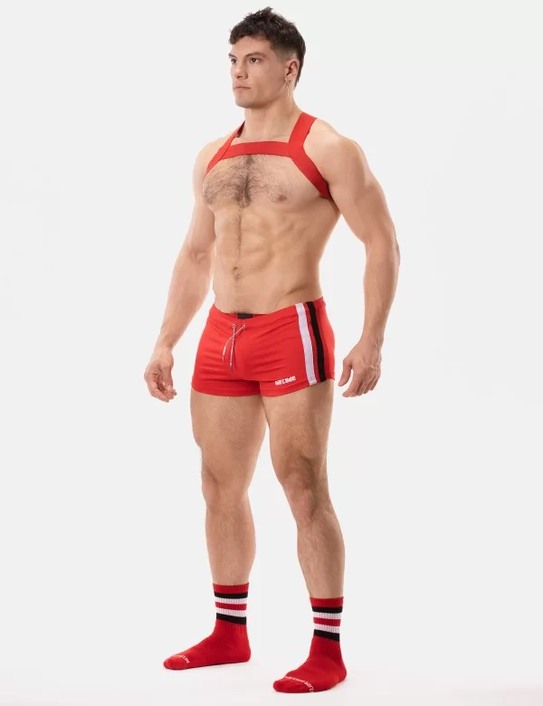 Harness Matt Pop - Redtomato