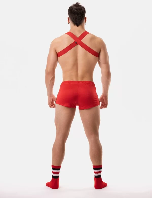 Harness Matt Pop - Redtomato