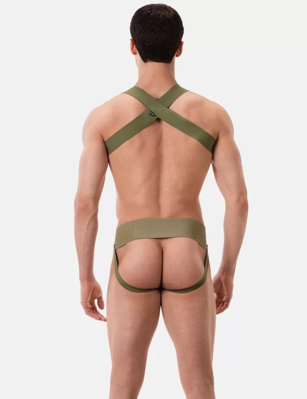 Harness Matt Pop - Grasslandbeige 