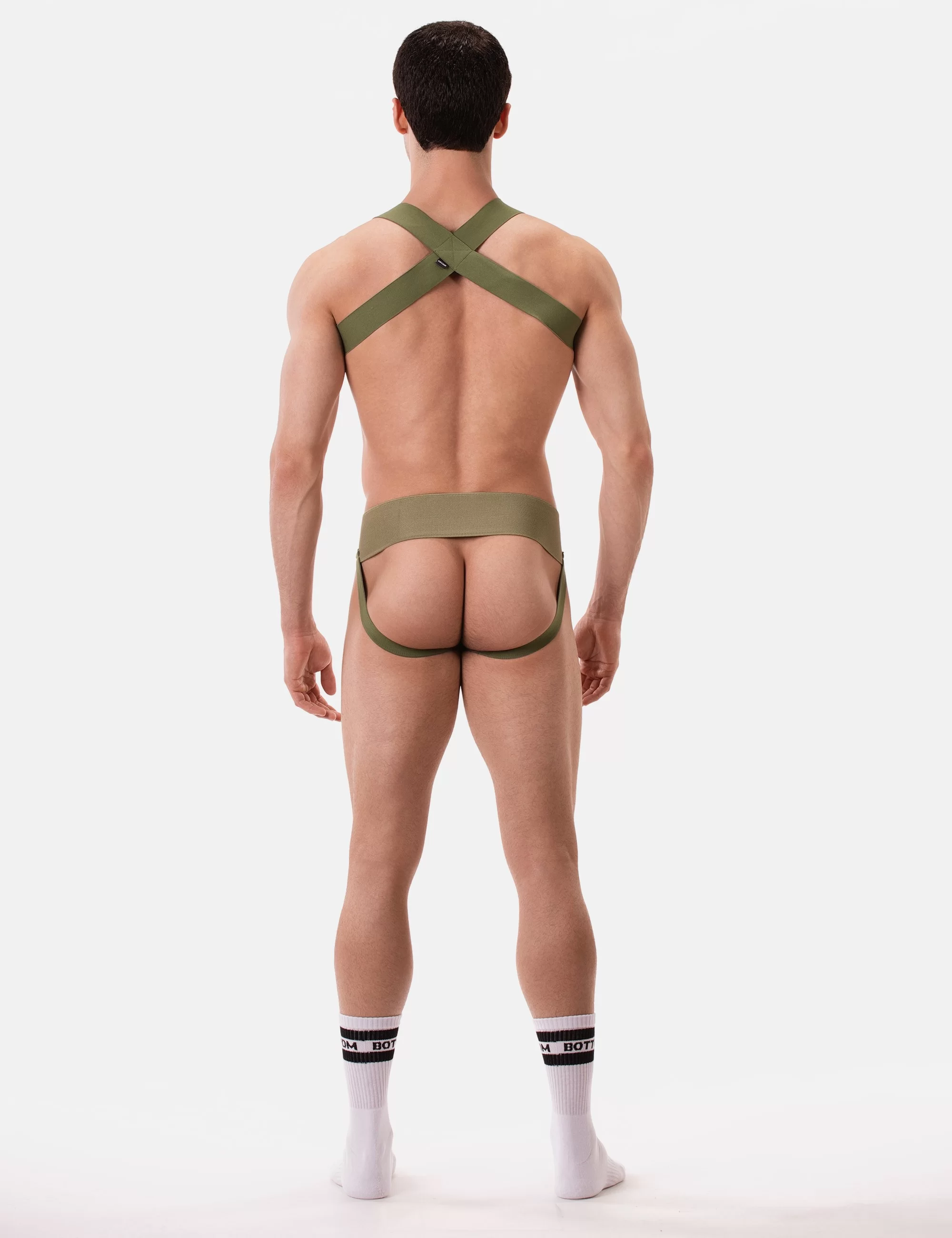 Harness Matt Pop - Grasslandbeige 